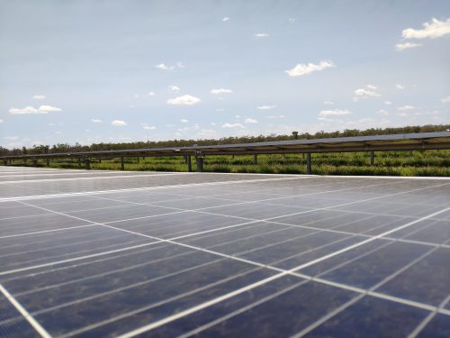 An image of solar panels in a field