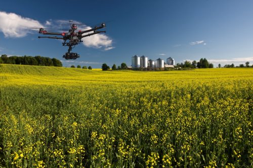 A commercial drone inspecting vegetation