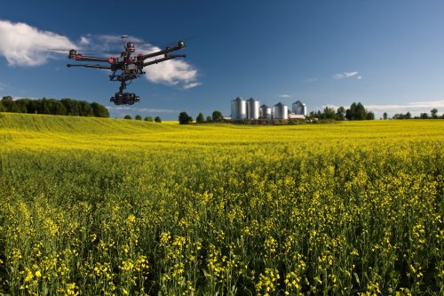 A commercial drone inspecting vegetation A commercial drone inspecting vegetation