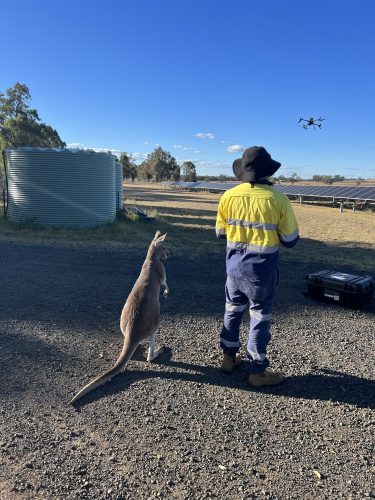 Image of a AUAV drone worker and a kangaroo