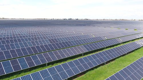 An image of a solar farm's solar panels