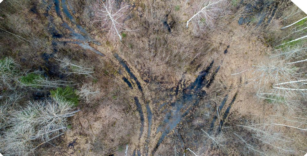 Aerial LiDAR Services
