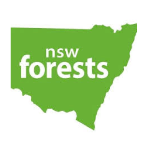NSW Forests logo.