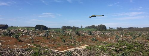 Forestry industry uav surverying.